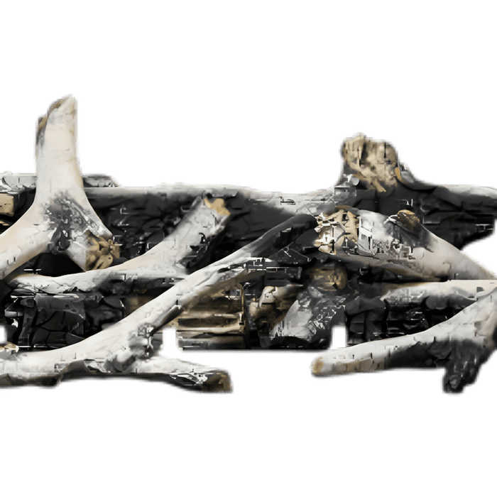 Napoleon 36-Inch Altitude ™ X Series Birch Log Kit