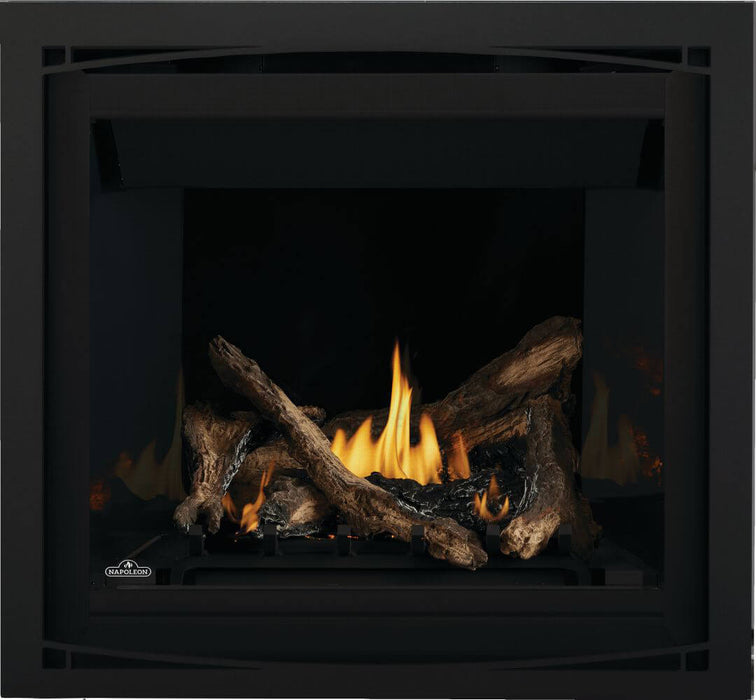 Napoleon Altitude™ Series 36" Direct Vent Gas Fireplace | A36NTE