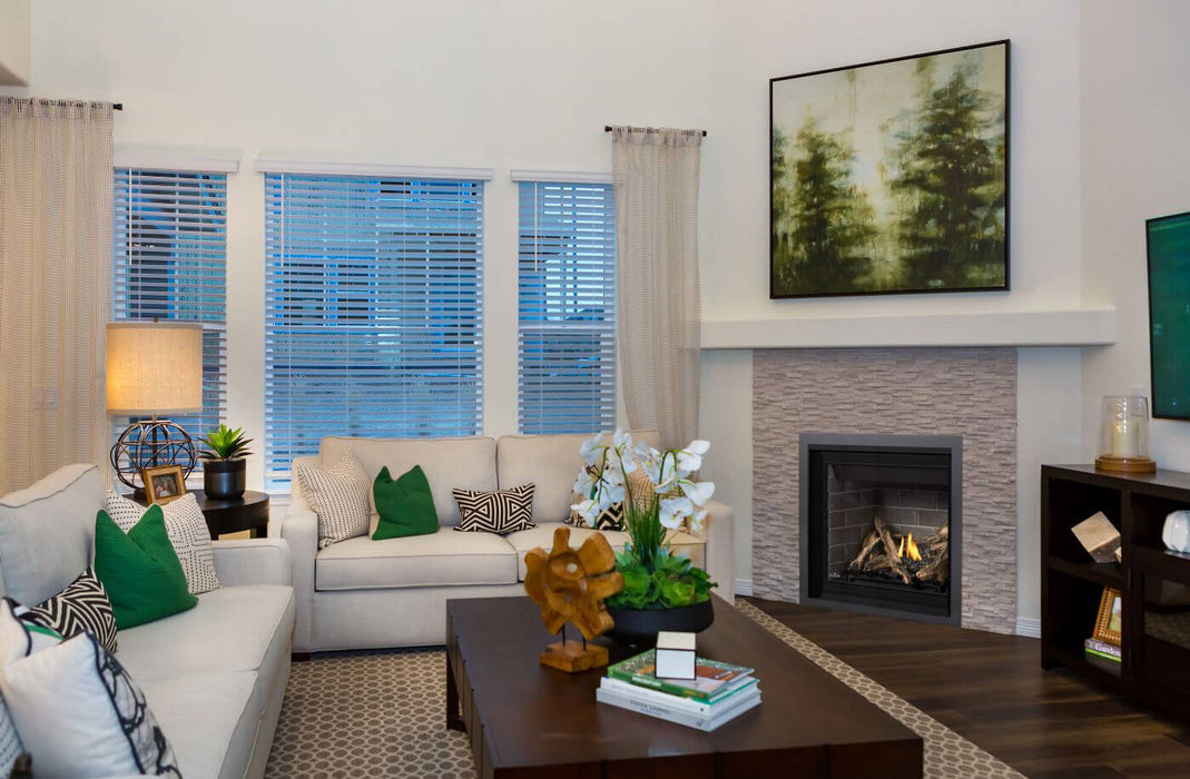 Napoleon Altitude™ Series 36" Direct Vent Gas Fireplace | A36NTE