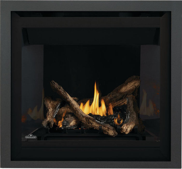 Napoleon Altitude™ Series 36" Direct Vent Gas Fireplace | A36NTE