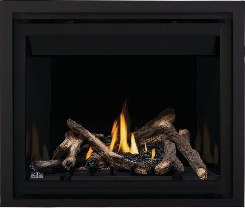 Napoleon Altitude Series 42" Direct Vent Gas Fireplace | A42NTE