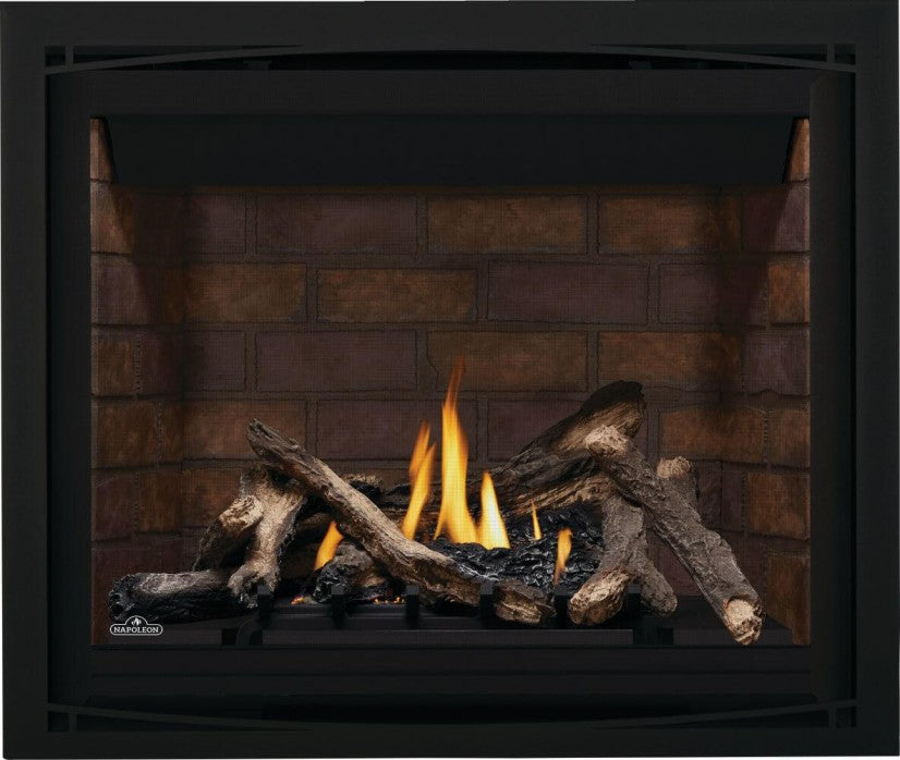 Napoleon Altitude Series 42" Direct Vent Gas Fireplace | A42NTE