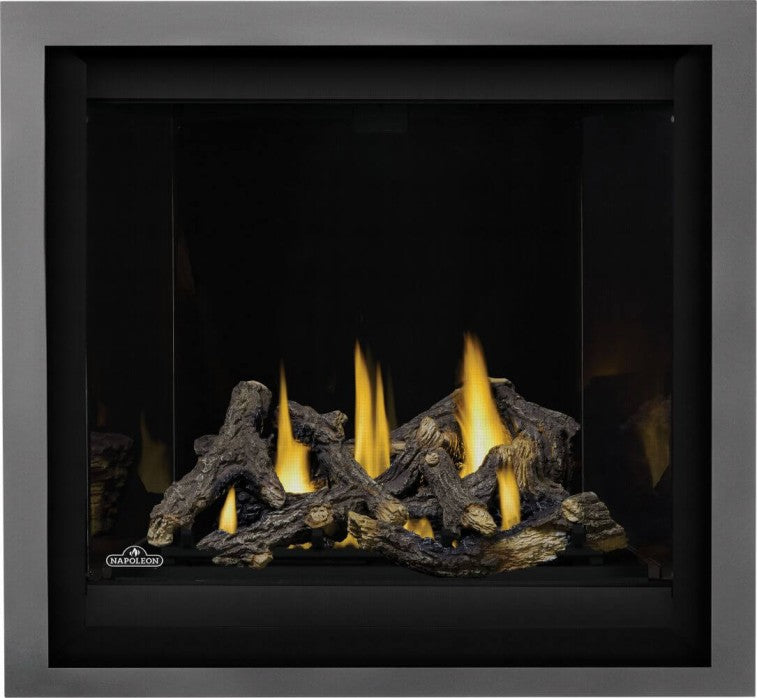 Napoleon Altitude™ X 36" Direct Vent Gas Fireplace | AX36NTE