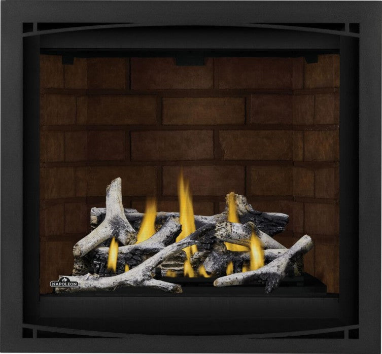 Napoleon Altitude™ X 36" Direct Vent Gas Fireplace | AX36NTE