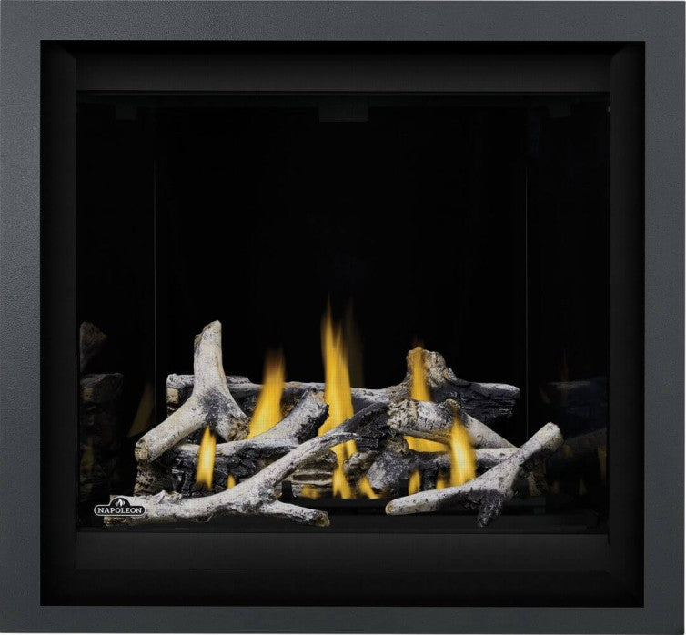 Napoleon Altitude™ X 36" Direct Vent Gas Fireplace | AX36NTE
