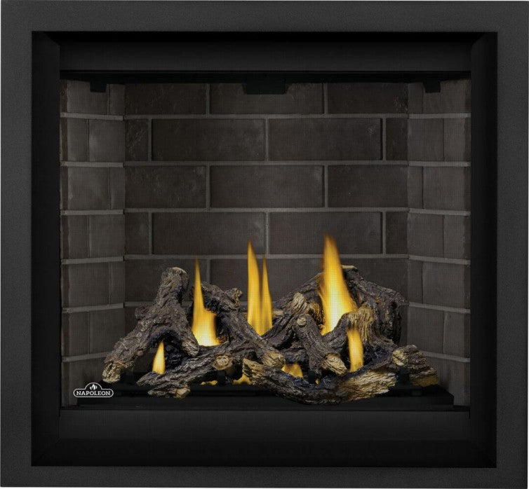 Napoleon Altitude™ X 36" Direct Vent Gas Fireplace | AX36NTE