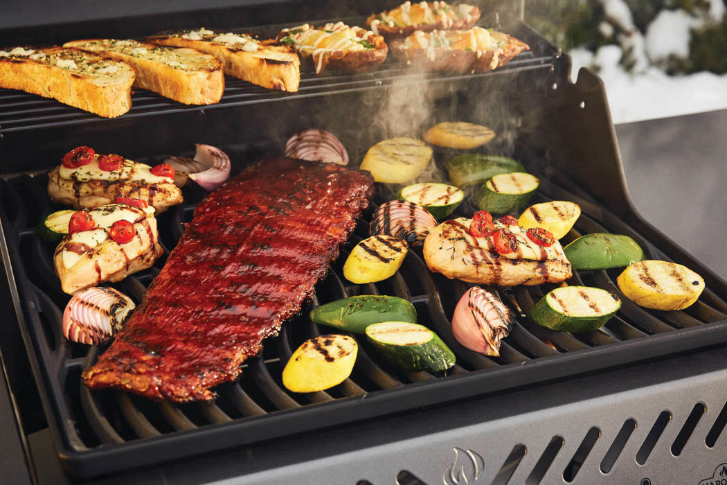 Napoleon Freestyle™ 365 Gas Grill