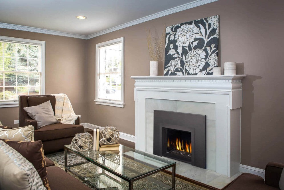 Napoleon Oakville™ 3 Glass Gas Fireplace Insert | GDIG3N