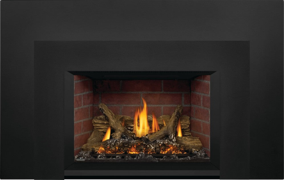 Napoleon Oakville™ X3 Gas Fireplace Insert | GDIX3N