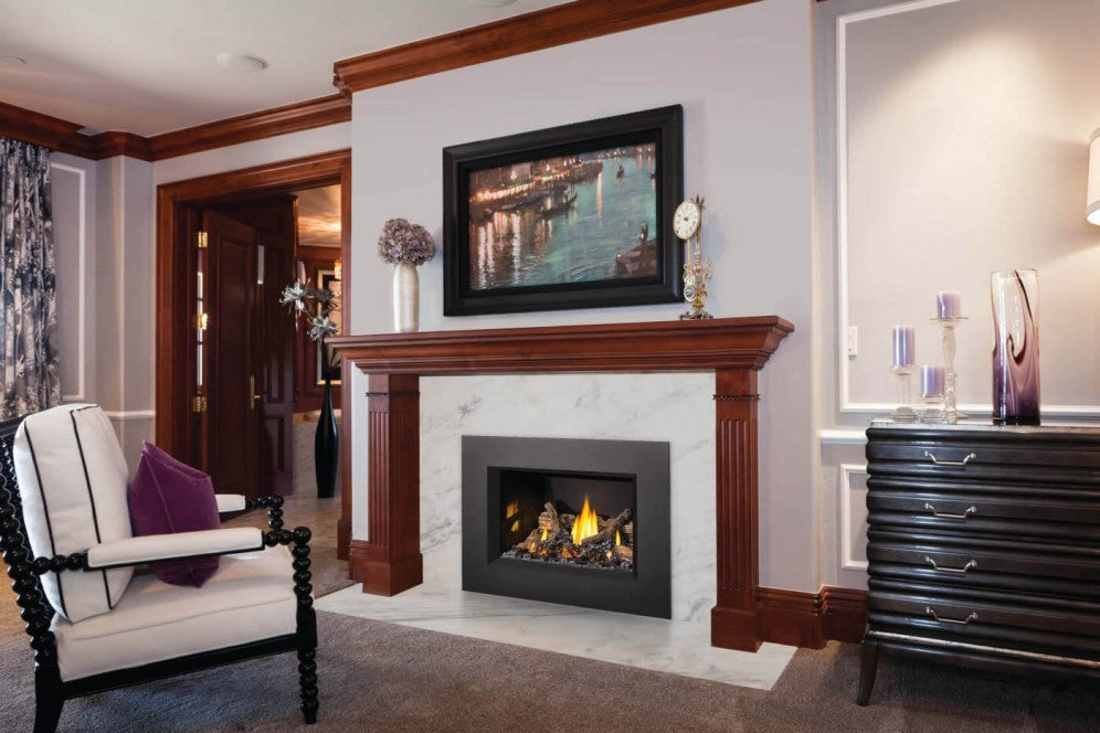 Napoleon Oakville™ X3 Gas Fireplace Insert | GDIX3N