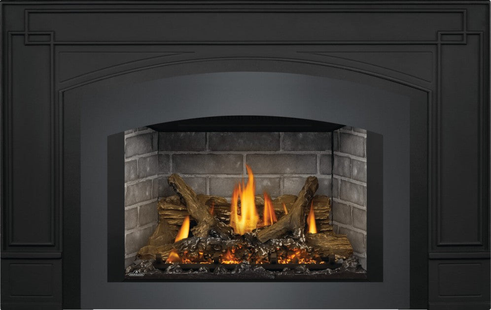 Napoleon Oakville™ X3 Gas Fireplace Insert | GDIX3N