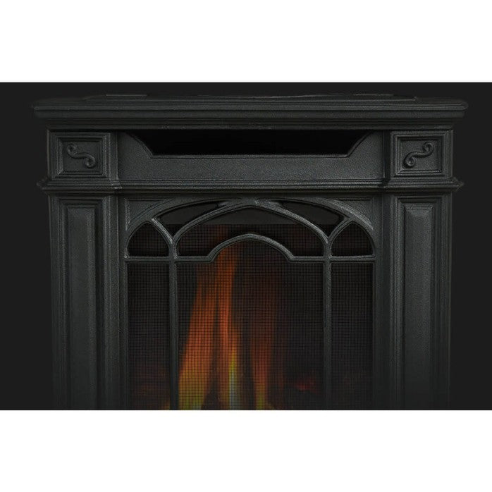 Napoleon Arlington™ Direct Vent Gas Stove with Space Saving Design | GDS20NE