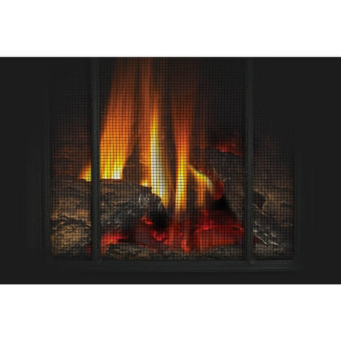 Napoleon Arlington™ Direct Vent Gas Stove with Space Saving Design | GDS20NE