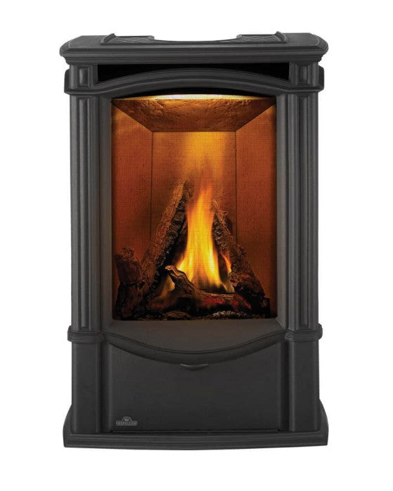 Napoleon Castlemore™  Direct Vent Gas Stove | GDS26N