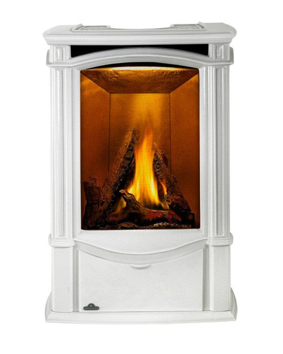Napoleon Castlemore™ Winter Frost Direct Vent Gas Stove | GDS26NW