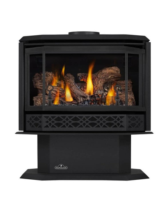 Napoleon Havelock Free-Standing Direct Vent Gas Stove | GDS50