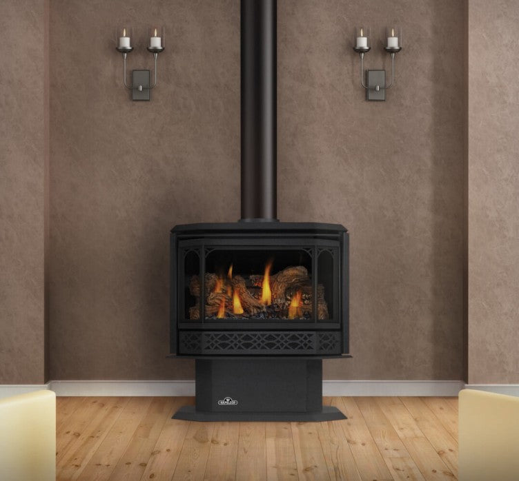 Napoleon Havelock Free-Standing Millivolt Ignition Direct Vent Gas Stove | GDS50