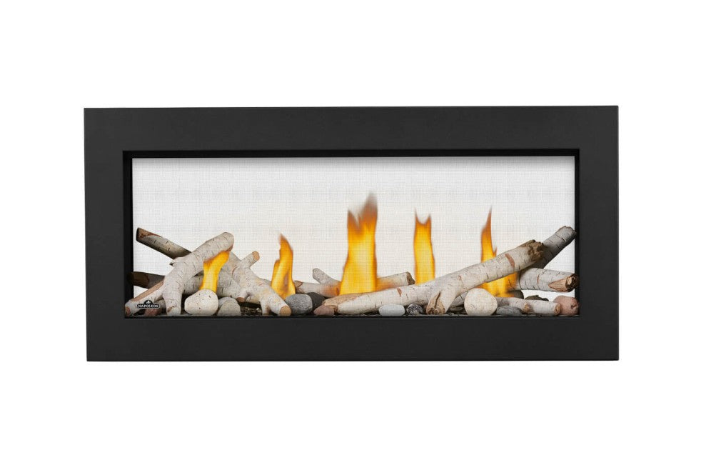 Napoleon Vector 38" See-Thru Direct Vent Gas Fireplace | LV38N2
