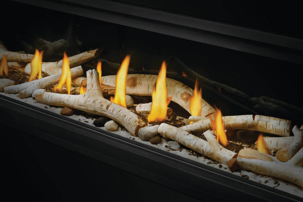 Napoleon Vector 38" See-Thru Direct Vent Gas Fireplace | LV38N2