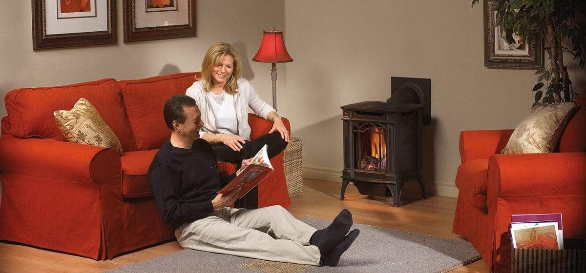 Napoleon Arlington™ Direct Vent Gas Stove | GDS20NSB
